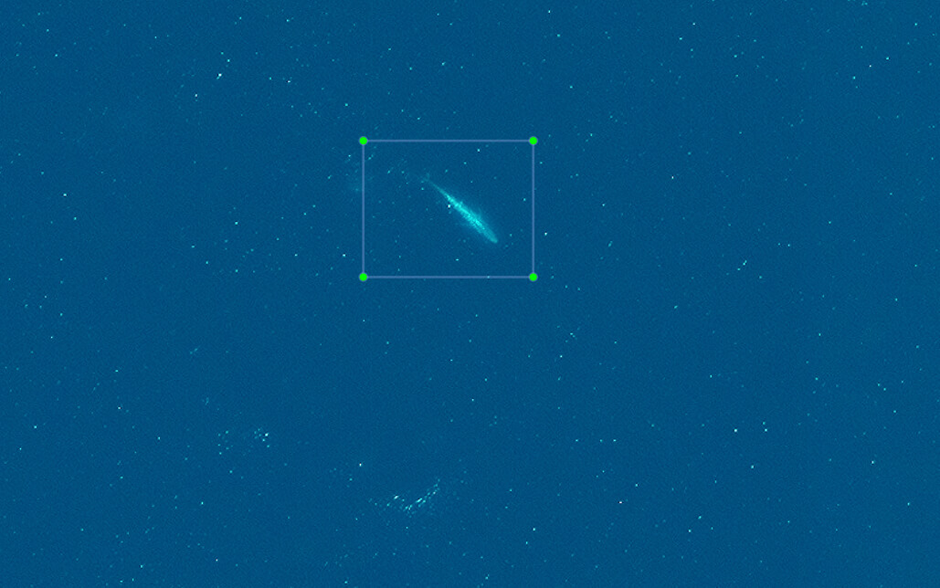 Blue Whale (<i>Balaenoptera musculus</i>) in VHR Satellite imagery</br>© 2022 Maxar Technologies